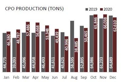 Harga Jual CPO Melambung 26 Persen, DSNG Catatkan Kenaikan Produksi